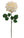 20" Open Rose Silk Flowers - 
    Cream