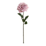 20" Open Rose Stem - 6 Pack