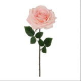 20" Open Rose Stem - 6 PACK