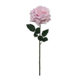 20" Open Rose Stem - 6 PACK