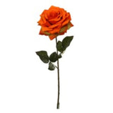 20" Open Rose Stem - 6 Pack