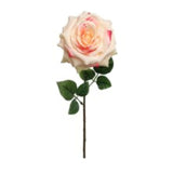 20" Open Rose Stem - 6 PACK