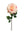 20" Open Rose Silk Flowers - 
    Pink Green