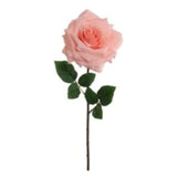 20" Silk Open Rose Stems – 6 Pack of Lifelike Artificial Flowers for Wedding & Home Decorations