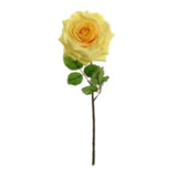 20" Open Rose Stem - 6 Pack