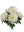 20" Peony Bush X5 - 
    White