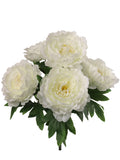 20" White Peony Bush Set - Lifelike Faux Flowers for Home Décor, Events, DIY Projects | Ideal for Centerpieces, Bouquets | Maintenance-Free Beauty