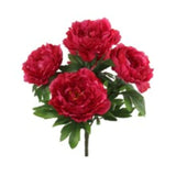 Peony Bush w/ 5 Silk Blooms 20