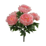 Peony Bush w/ 5 Silk Blooms 20