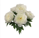 Peony Bush w/ 5 Silk Blooms 20