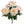 20" Peony Bush X5 - 
    White Pink