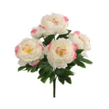 Peony Bush w/ 5 Silk Blooms 20