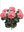 18" Natural Geranium Blush with 20 Leaves - 
    Pink