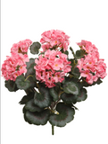 18" Natural Geranium Blush with 20 Leaves
