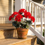 Artificial Geranium Bush, 18" – UV-Resistant Outdoor Faux Flowers