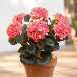 Artificial Geranium Bush-18"