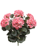 18" UV-resistant Deluxe Geranium Bush with 7 Heads