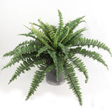 Boston Fern Artificial Plant: 34" Dia, 42 Fronds, 2 Pack - Versatile Fake Silk for Indoor House or Outdoor, Perfect for Hanging Baskets or Planters
