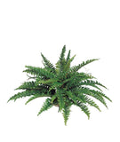 Captivating 34" Boston Fern Set of 6 - Premium Faux Plants for Home Décor, Office, and Gifts - Lifelike Foliage, Low-Maintenance