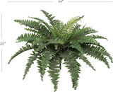 Artificial Boston Fern with 50 Fronds - 34"