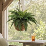 Artificial Boston Fern with 50 Fronds - 34"