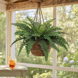 Artificial Boston Fern with 50 Fronds - 34"