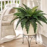 Artificial Boston Fern with 50 Fronds - 34"