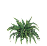Lush Boston Fern Set, 48-Inch Diameter, 60 Verdant Fronds, 4 Pieces - Authentic Green Indoor/Outdoor Decorative Plant
