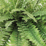 Boston Fern Artificial Plant: 48" Dia, 88 Fronds, 2 Pack - Versatile Fake Silk for Indoor House or Outdoor, Perfect for Hanging Baskets or Planters