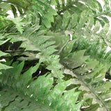 Green Faux Boston Fern with 77 Fronds - 82" Diameter