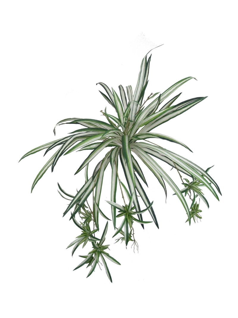 32" Artificial Spider Plant Set of 12 - Perfect for Home Décor, Office Spaces, and Gifts - Realistic Faux Plants for Low-Maintenance Greenery - Premium Quality, Lifelike Foliage