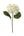 17.75" Artificial Hydrangea Stem with 8" Bloom Faux Flower for & Home - 
    Cream Green
