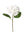 17.75" Artificial Hydrangea Stem with 8" Bloom Faux Flower for & Home - 
    White