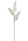 4PC 66"PHALAENOPS X3/24F/18B