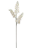 4PC 66"PHALAENOPS X3/24F/18B