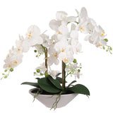 Stunning 21"x20" White Phalaenopsis with 6 Blossoms in 11" Modern Boat Vase - Elegant Silk Orchid for Home and Office Decor