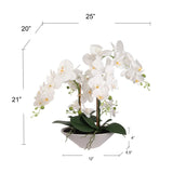 Stunning 21"x20" White Phalaenopsis with 6 Blossoms in 11" Modern Boat Vase - Elegant Silk Orchid for Home and Office Decor