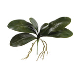 16" Phalaenopsis Leaf Cluster- 4 PACK