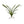 Faux Cymbidium Leaf Cluster - 26" - 
    Green