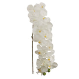 4pcs 49" Phalaenopsis Orchid Stem