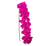 2pcs Fuchsia 49" Phalaenopsis Orchid Stem