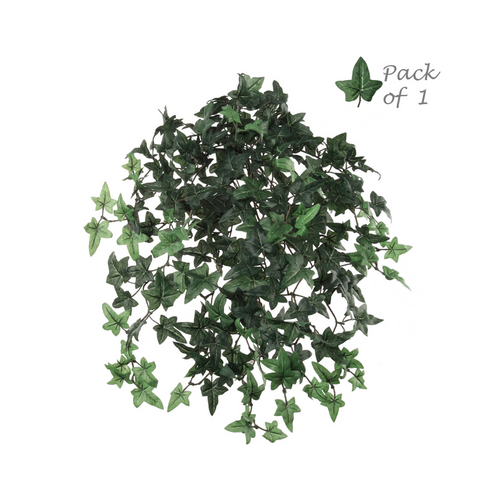 Hanging Greenery