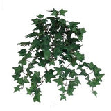 Mini Artificial English Ivy Bushes with 176 Silk Leaves, Set of 2 - 13