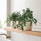 13" Artificial Ivy Hanging Plant – Faux Greenery for Baskets, Indoor/Outdoor Home Decor