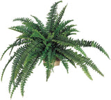 Artificial Boston Fern Plant – 48" Silk Greenery with 48 Fronds
