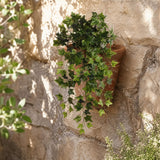 Faux Ivy Hanging Basket Plant - 19"