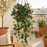 Faux Ivy Hanging Basket Plant - 19"