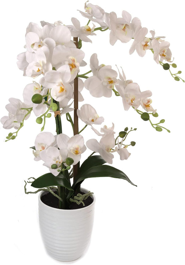 25" White Phalaenopsis Orchid Arrangement in White Ceramic Vase - Realistic Faux Orchid Centerpiece for Home, Office & Event Decor