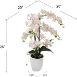 25" White Phalaenopsis Orchid Arrangement in White Ceramic Vase - Realistic Faux Orchid Centerpiece for Home, Office & Event Decor