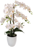 25" White Phalaenopsis Orchid Arrangement in White Ceramic Vase - Realistic Faux Orchid Centerpiece for Home, Office & Event Decor